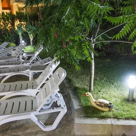 فندق Darius Hstl 3*