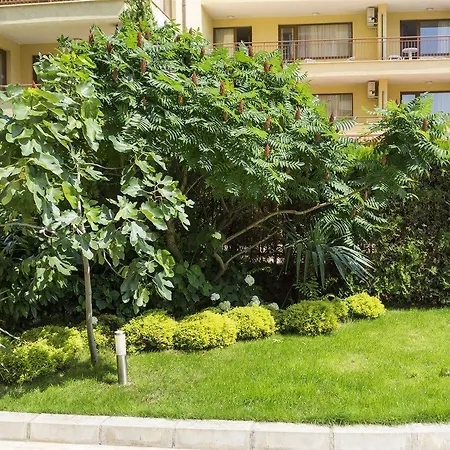 فندق Darius Hstl