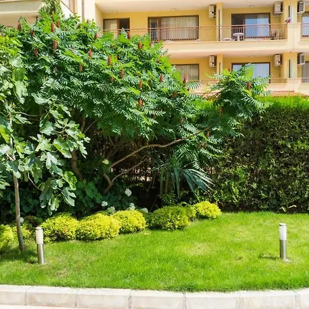 Darius Hstl فندق ساني بيتش