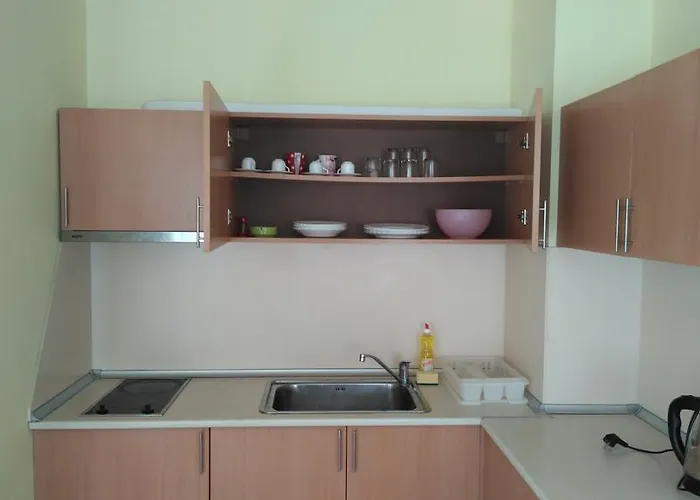 Darius Hstl Słoneczny Brzeg