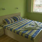 Hotell Darius Hstl Slăntjev Brjag